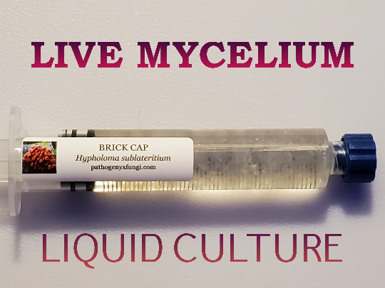 BRICK CAP Mushroom Premium Liquid Culture Syringe, Premium Mycelium™