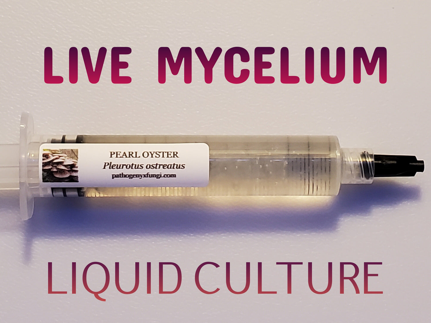 PEARL OYSTER Mushroom, liquid culture syringe, Premium Mycelium™