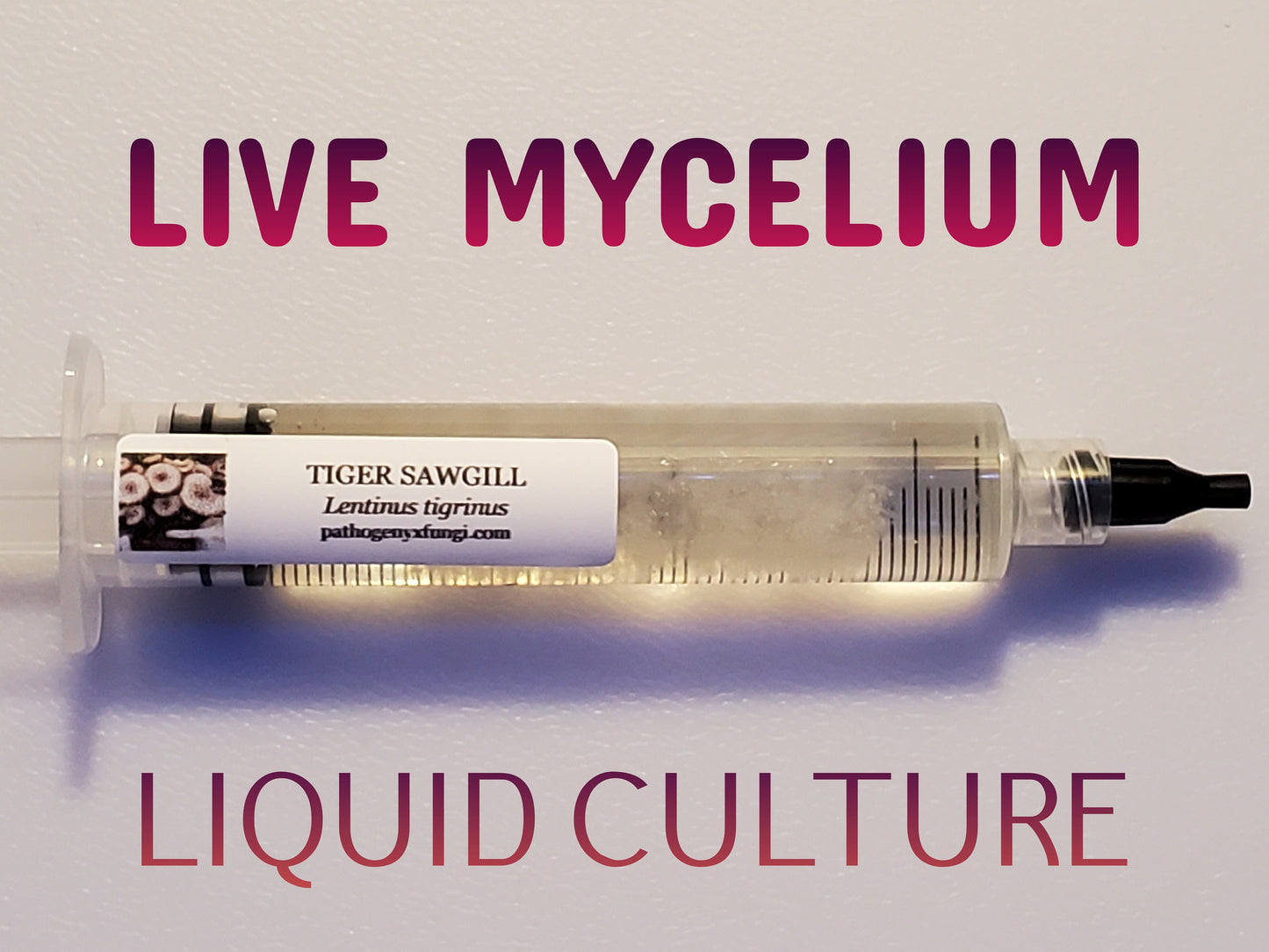 TIGER SAWGILL Mushroom, liquid culture syringe, Premium Mycelium™