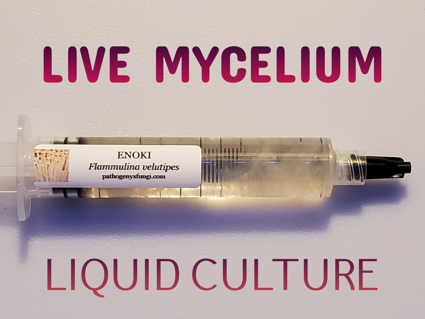 ENOKI Mushroom, liquid culture syringe, Premium Mycelium™