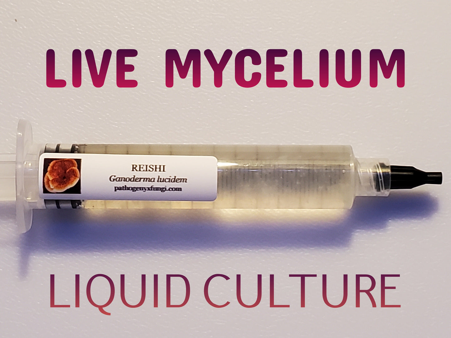 REISHI Mushroom, liquid culture syringe, Premium Mycelium™
